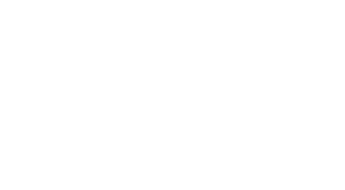 Stephen Knoll